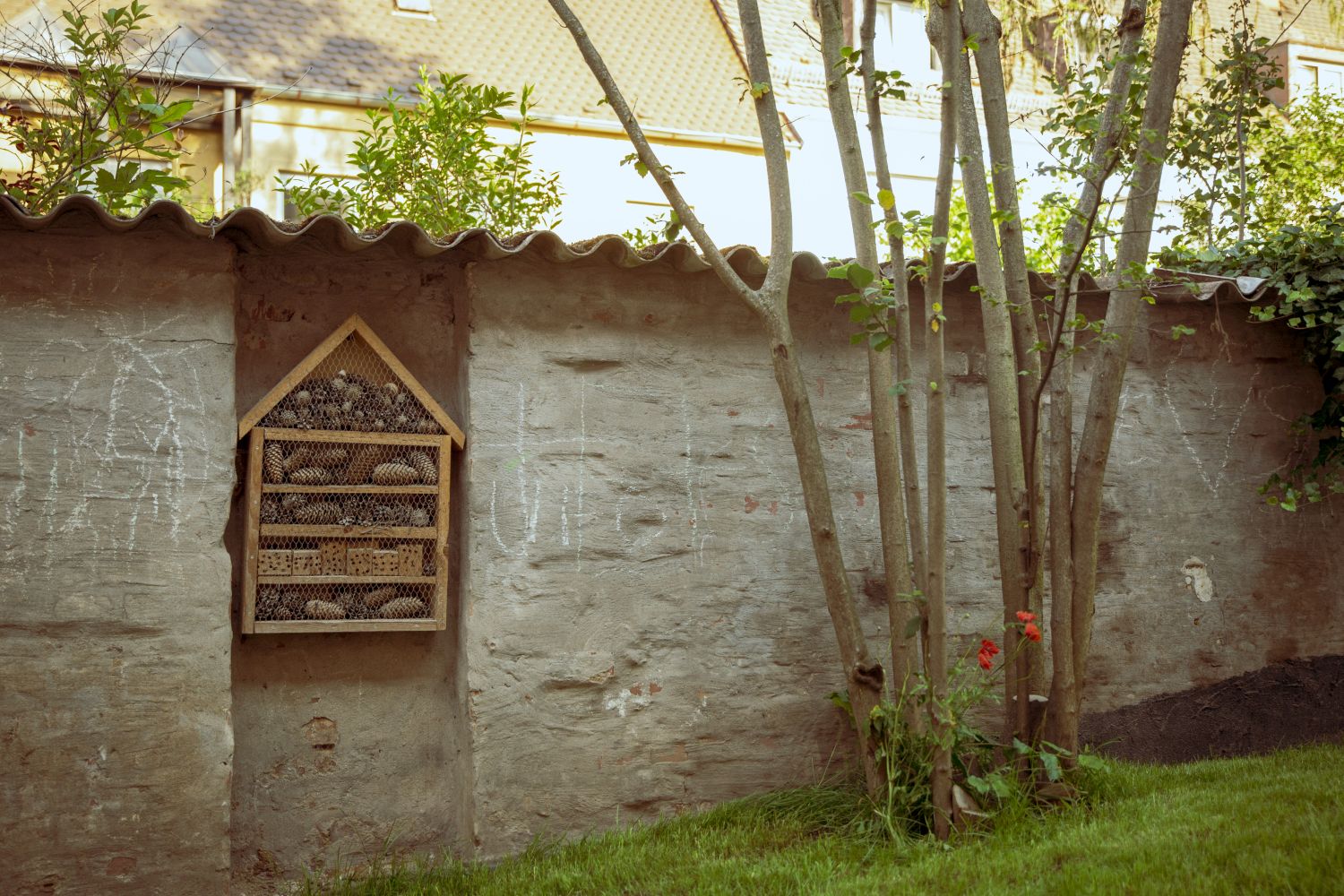 Slider image